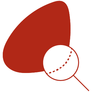 01-sopralluogo-icona